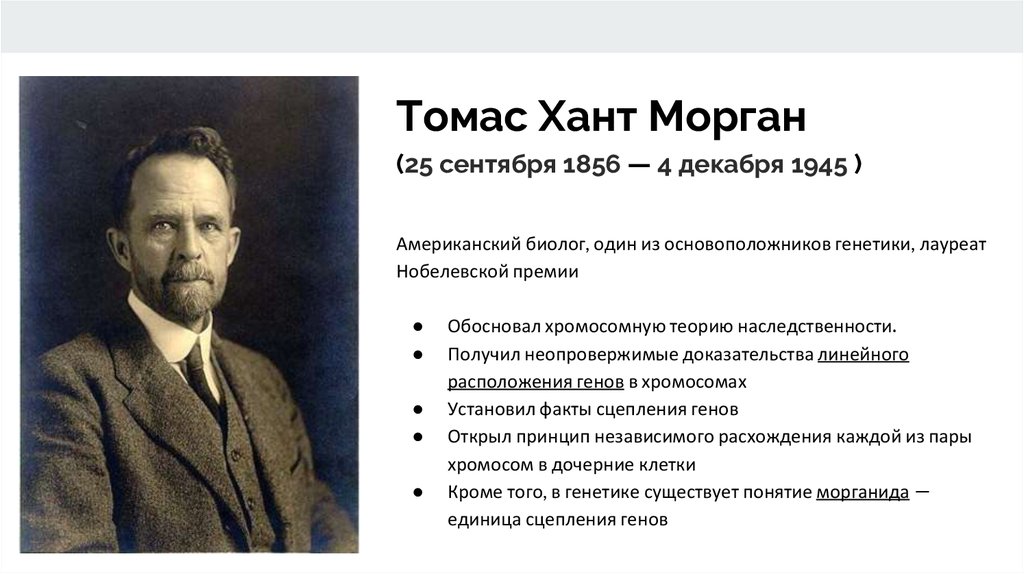 Томас хант морган презентация