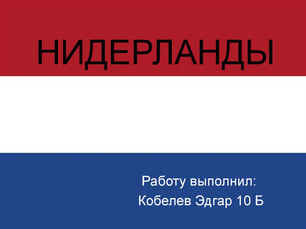 Налогообложение нидерланды презентация