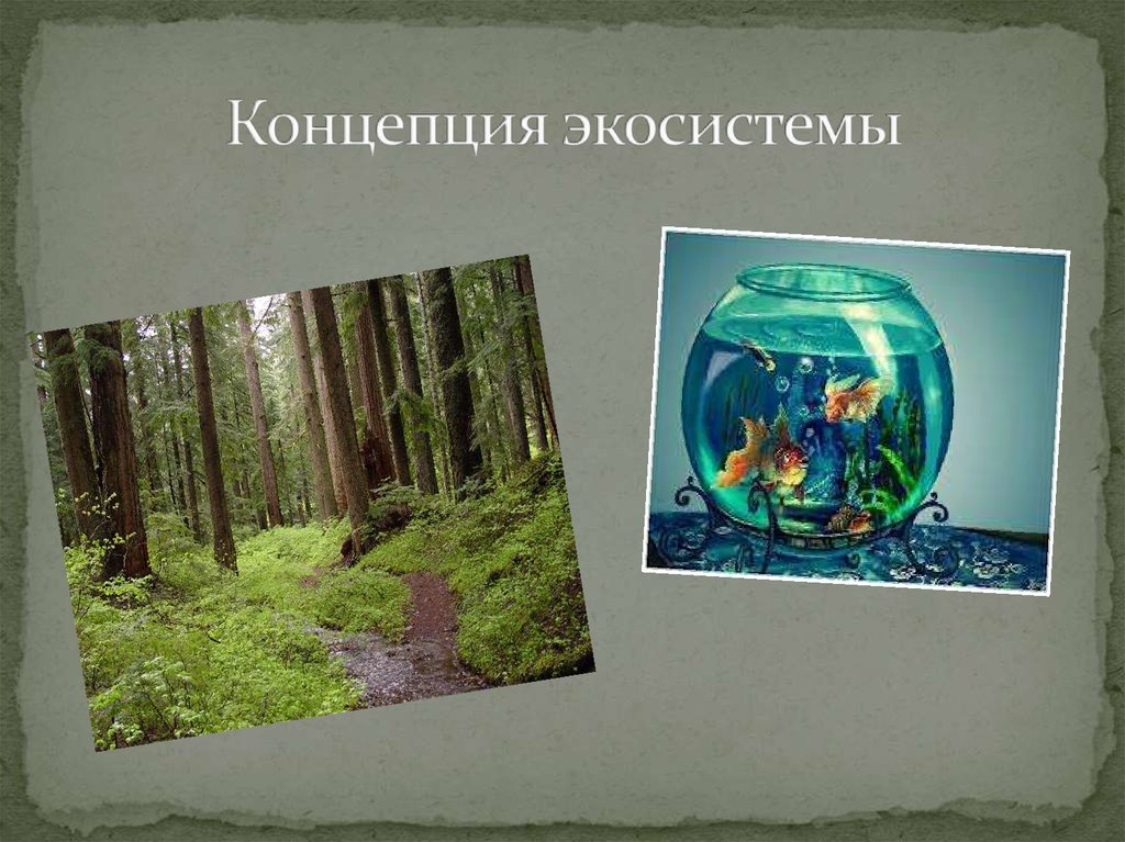 Концепция экосистемы