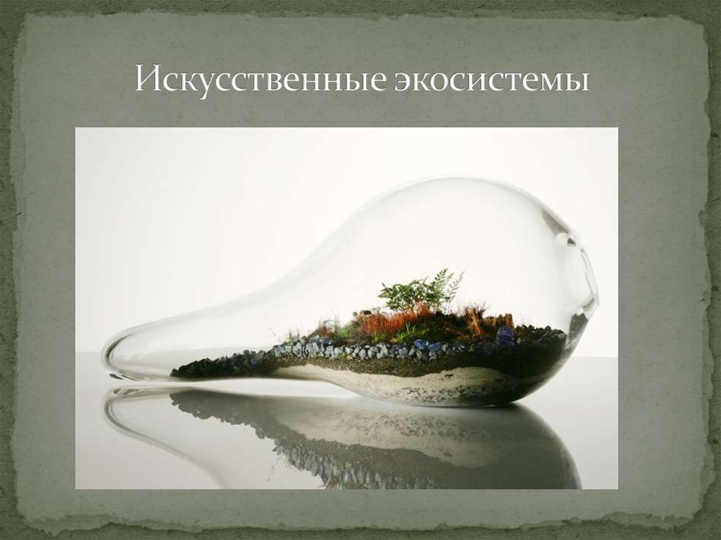 Искусственные экосистемы