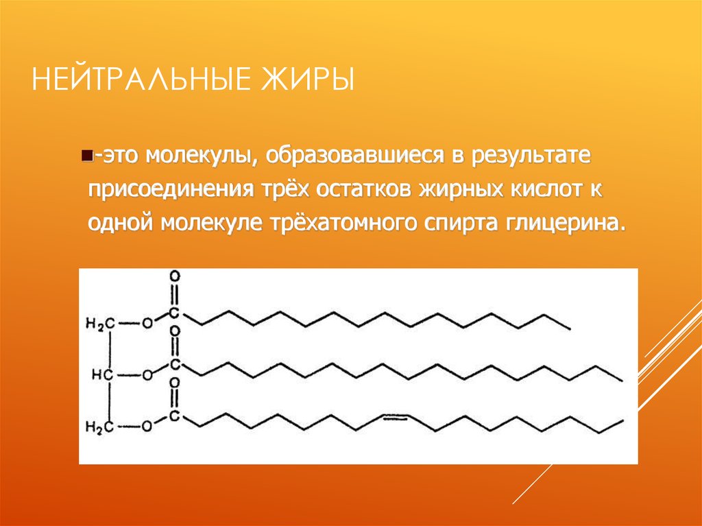 Нейтральные жиры это