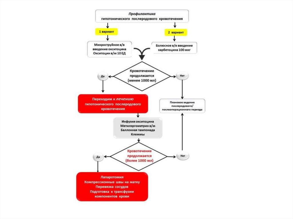 Алгоритм по родам. Написания протокола Введение родов. Схема введения атозибана. Студфайл тактика плана ведения родов и лечения.