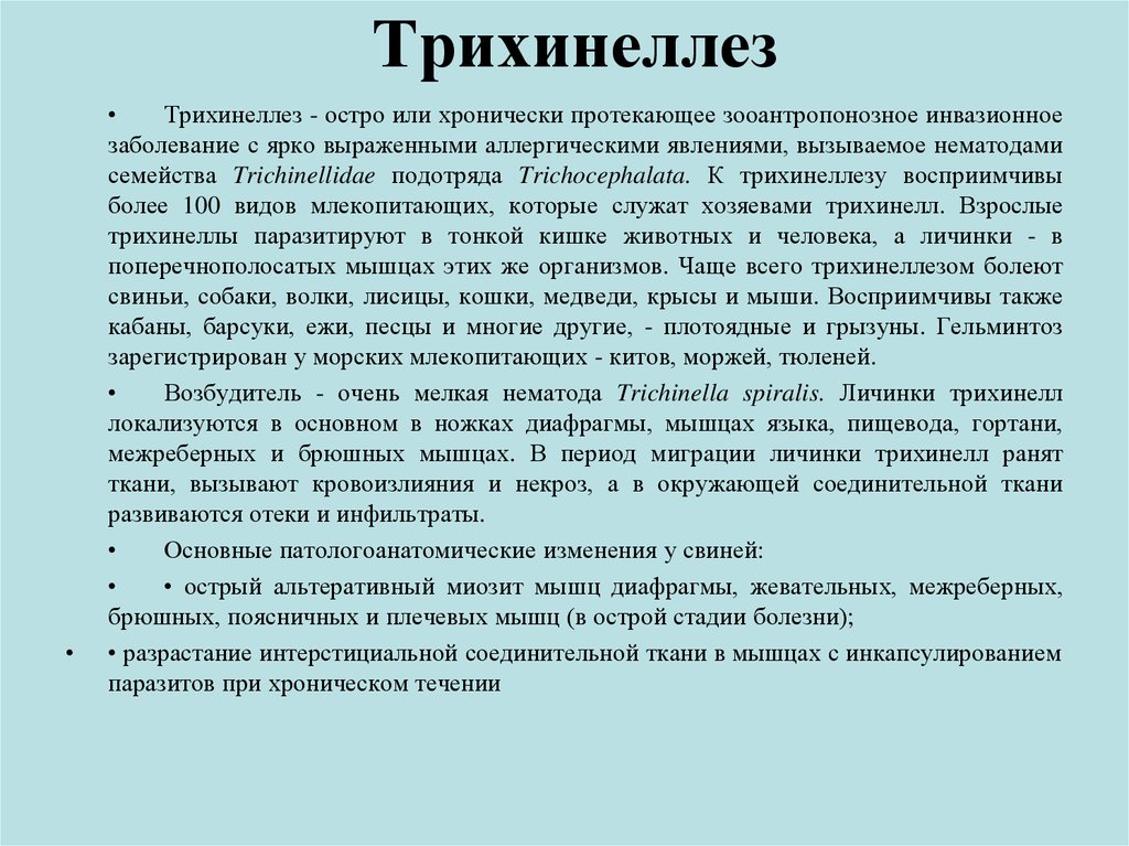 Профилактика трихинеллеза. Профилактика глистных инвазий трихинеллез. Трихинеллез лекарства.