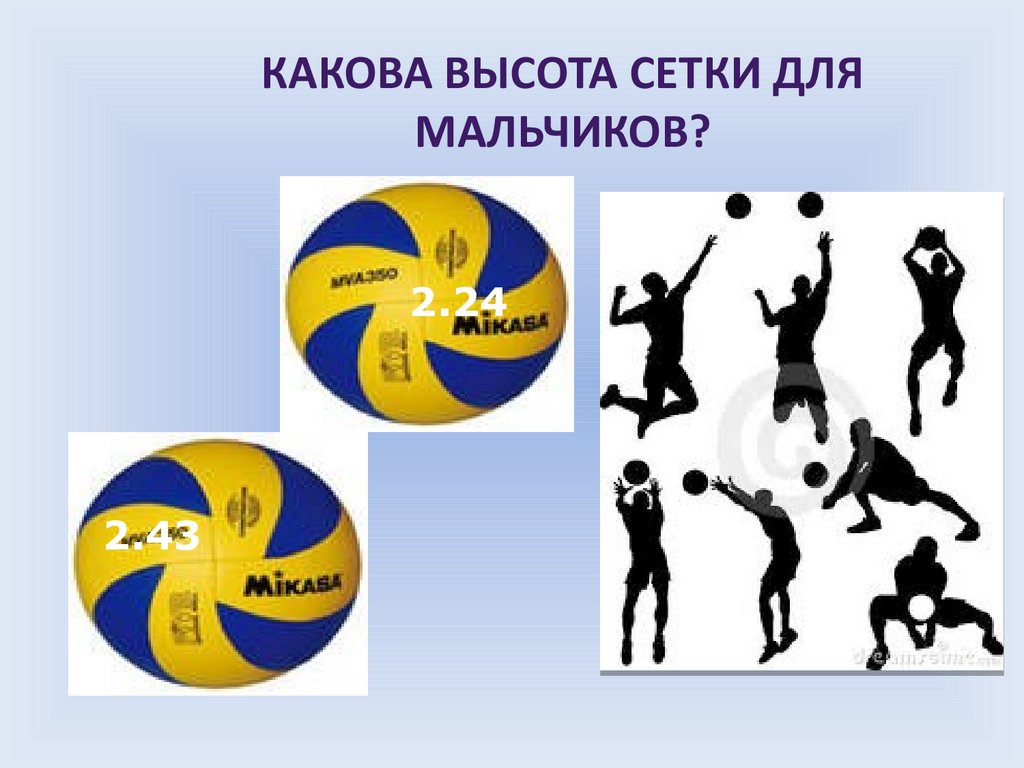 Волейбол высота сетки для мужчин и женщин