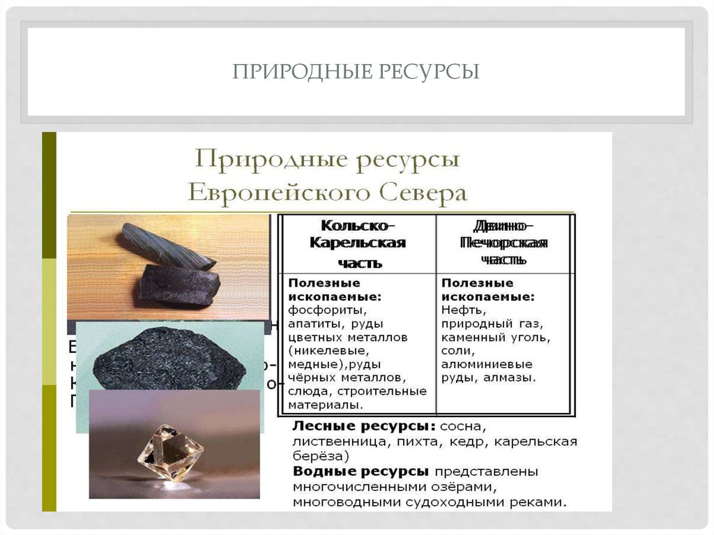 Металл это природный ресурс. Минеральные ресурсы европейского севера. Минерально-сырьевые ресурсы европейского севера. Минерально сырьевые ресурсы европейского севера России. Природные ресурсы европейского севера России.