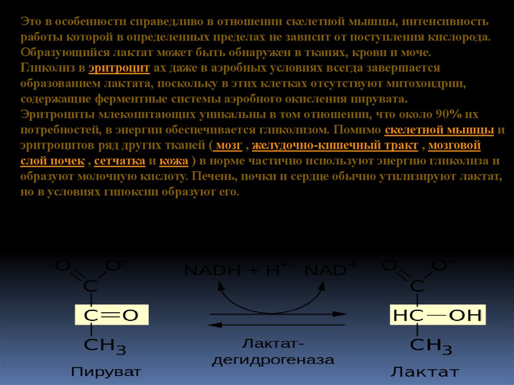 Гликолиз - презентация онлайн