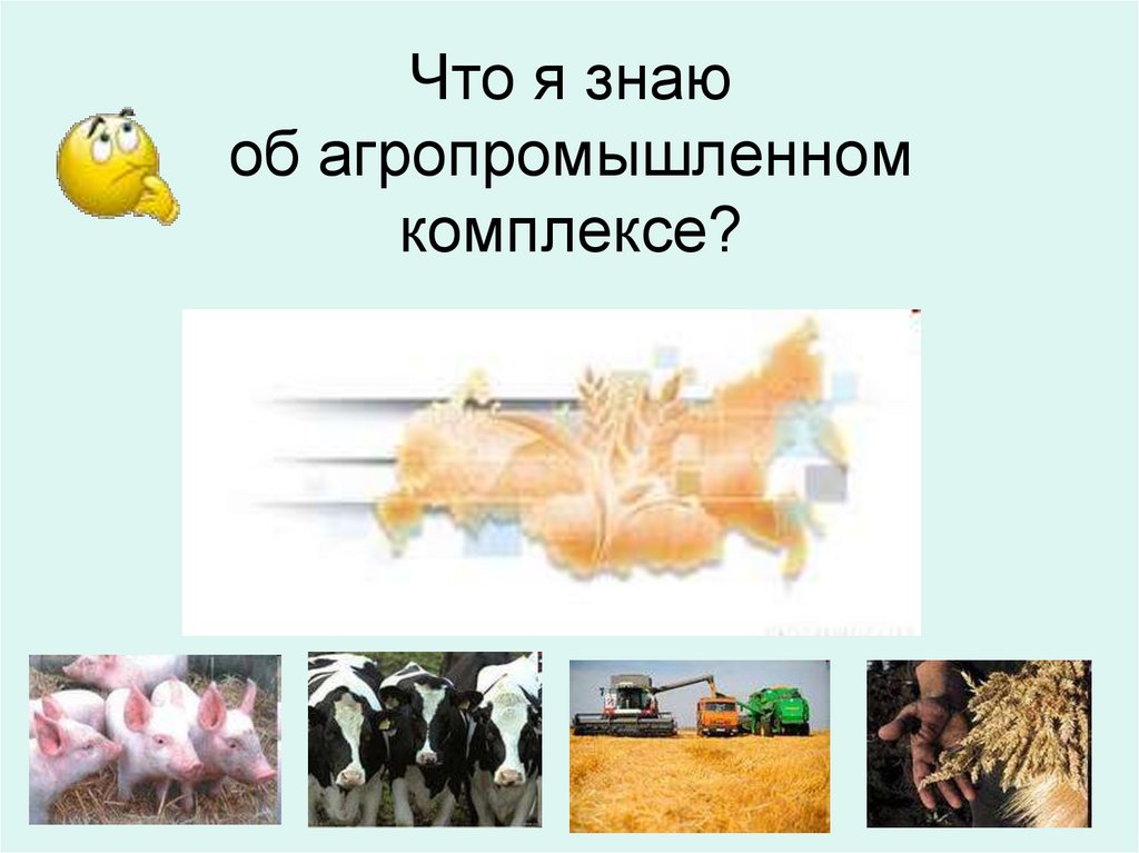 Вывод апк. Что знаем о агропромышленном комплексе. Агропромышленный комплекс вопросы. АПК картинки для презентации. Агроэкономическая часть плана.