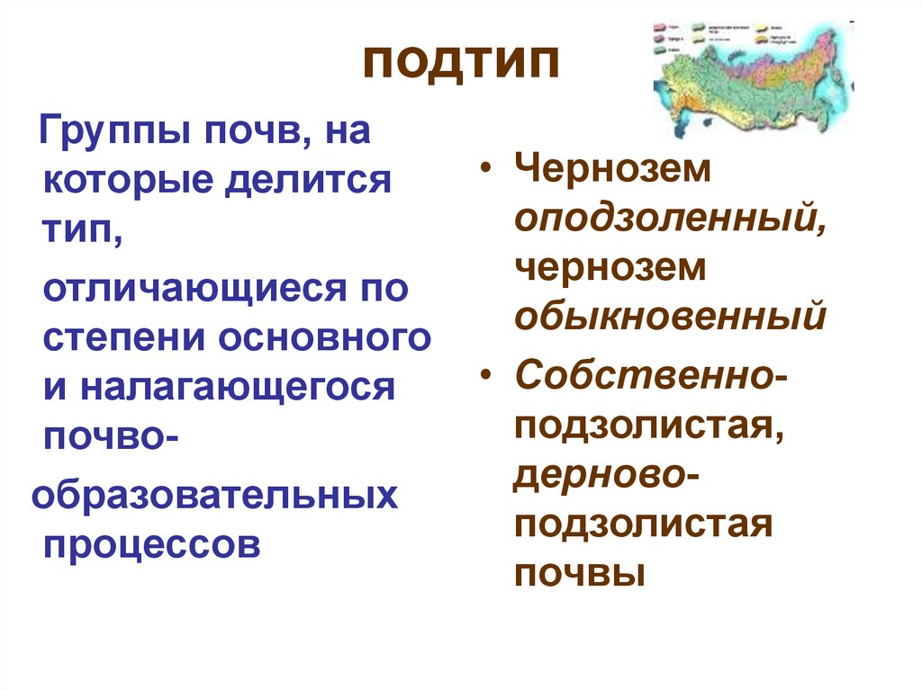 Группа почв. Группы почв. Подтипы почв. Чернозем обыкновенный Тип, Подтип, род. Что такое Тип Подтип род вид разновидность почвы.