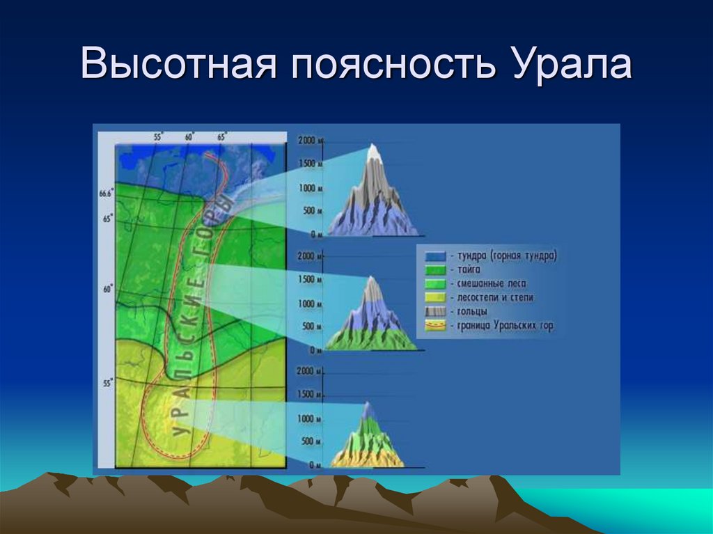 Природные зоны урала таблица. Высокая пояность уральских гор. Высотная поясность Южного Урала. Высотная поясность в горах Урала. Высотная поясность Урала 8 класс география.