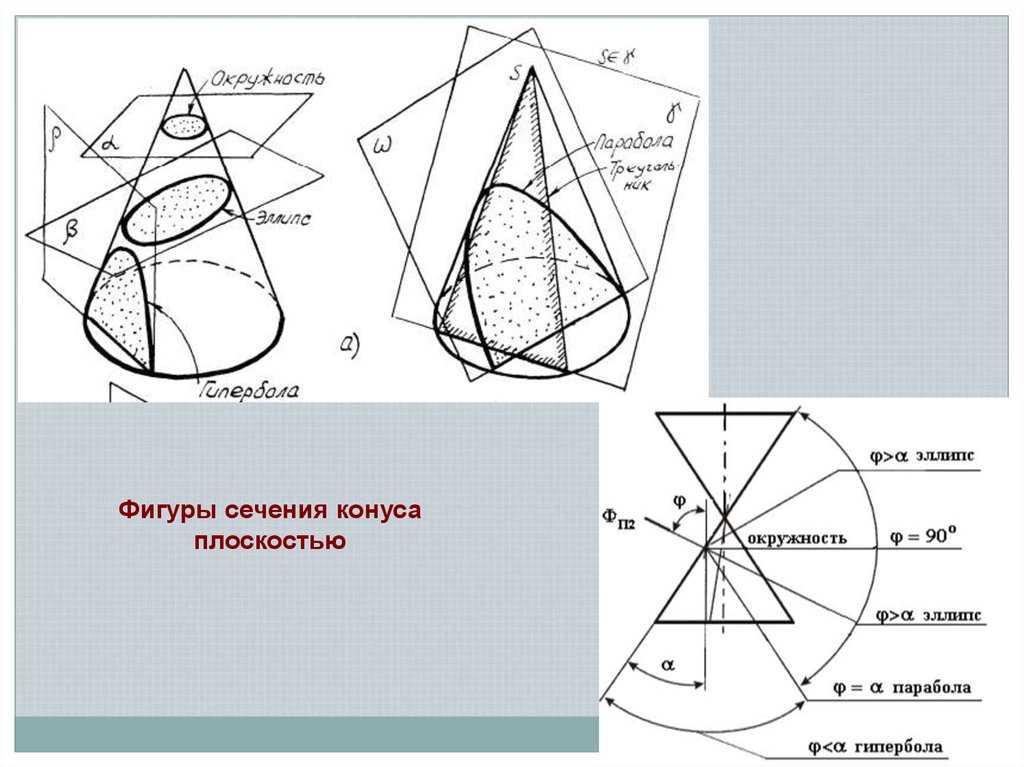 Сечение фигур. Сечение конуса Гипербола построение. Фигура сечения конуса. Сечение фигур плоскостью конус. Виды сечения конуса плоскостью.