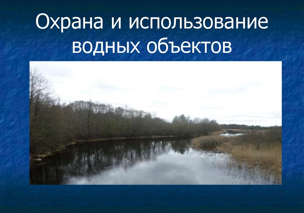 Охрана водных объектов. Охраняемые водные объекты. Охрана водных объектов в Пскове. Водные объекты Чехова. Водный объект Сыктывкар окружающий мир.