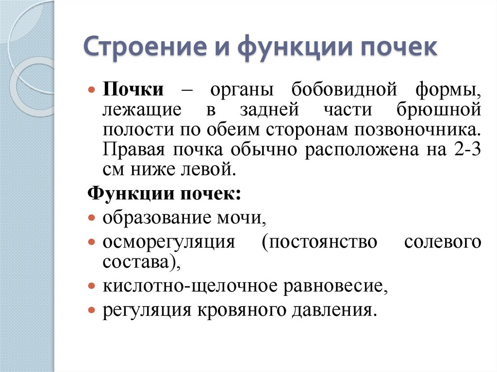 Функции почек