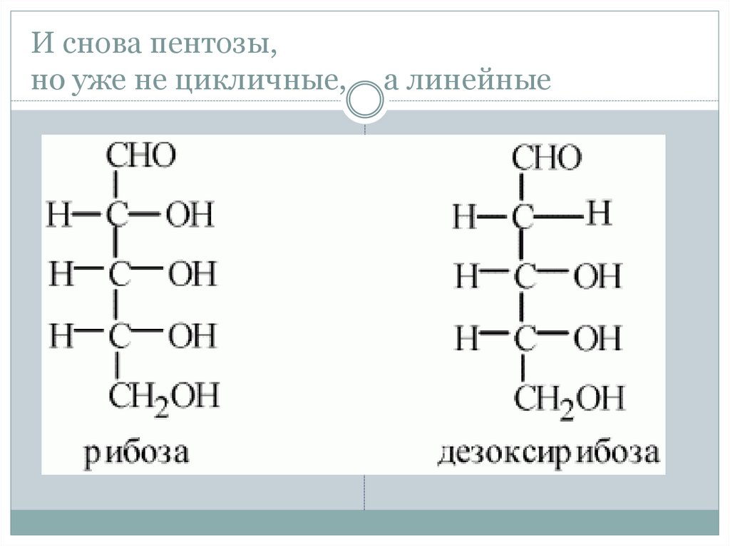 Рибоза структурная. Структурная формула рибозы и дезоксирибозы. Рибоза и дезоксирибоза линейные формулы. Структурная форма рибозы и дезоксирибозы. Рибоза формула структурная формула.