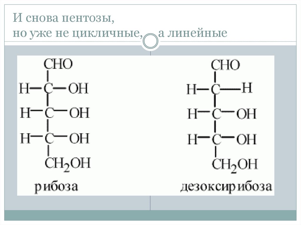 Рибоза входит в состав молекул. Рибоза структурная формула. Рибоза и дезоксирибоза формулы. Структурная формула рибозы и дезоксирибозы. Строение рибозы и дезоксирибозы.