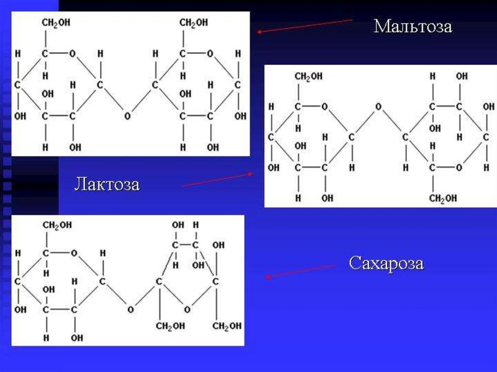 Дисахариды изомеры. Сахароза мальтоза лактоза формулы. Строение сахарозы мальтозы и лактозы. Лактоза и мальтоза. Молочный сахар мальтоза лактоза сахароза.