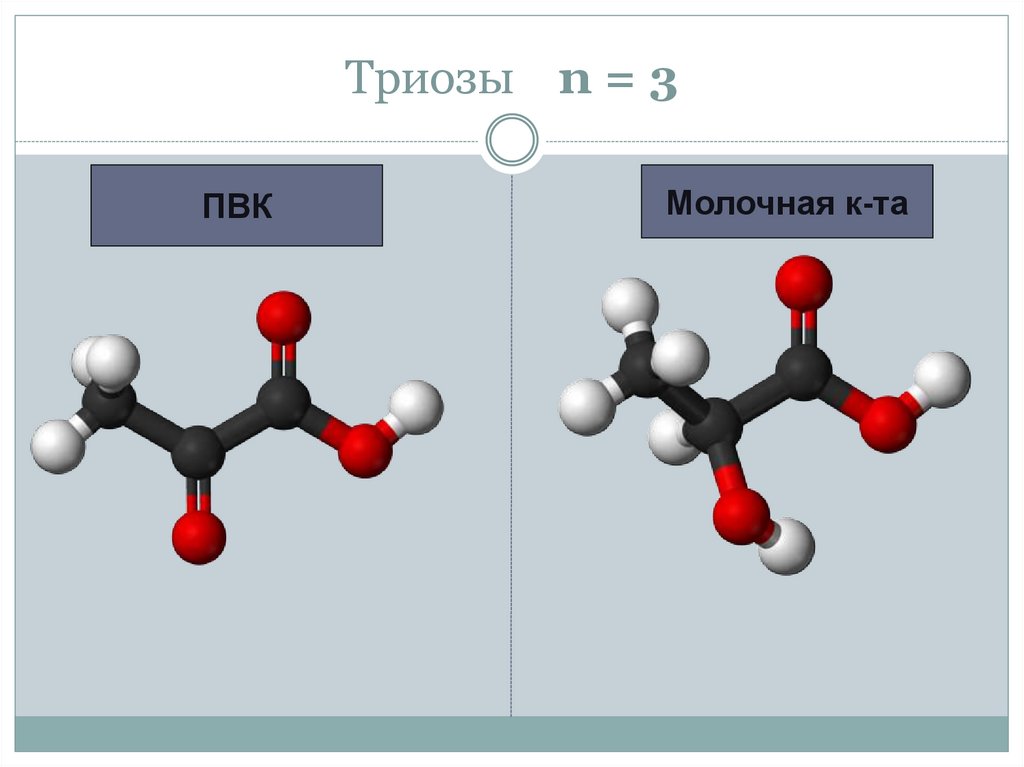 Образование и транспорт органических веществ