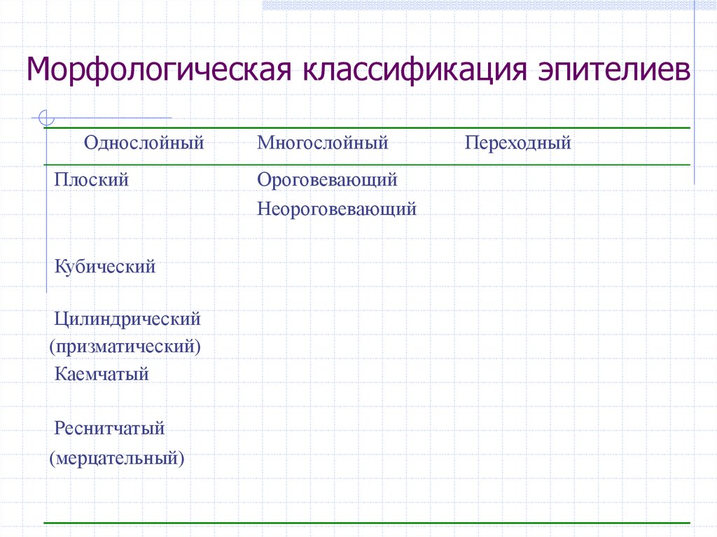 Морфологическая классификация