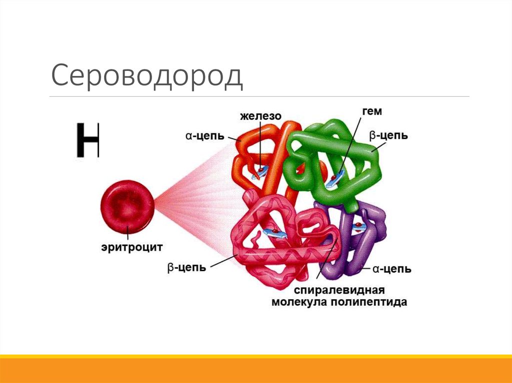 Молекулярный сероводород