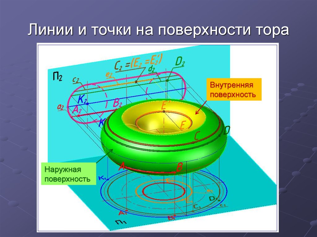 Внешняя поверхность. Тор поверхность вращения. Линии поверхности тора. Точки на поверхности тора. Поверхность вращения тора.