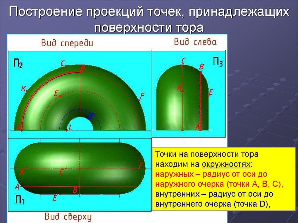 Внутренняя точка поверхности. Проекции точек на торе. Нахождение точки на торе.