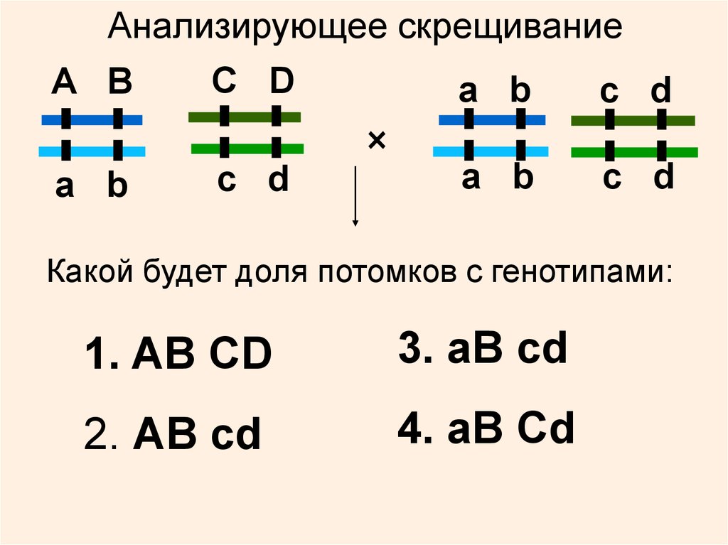 Контрольная работа по генетике 10