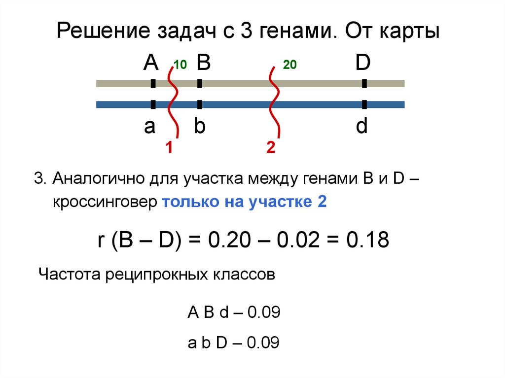 Задачи на кроссинговер с решением