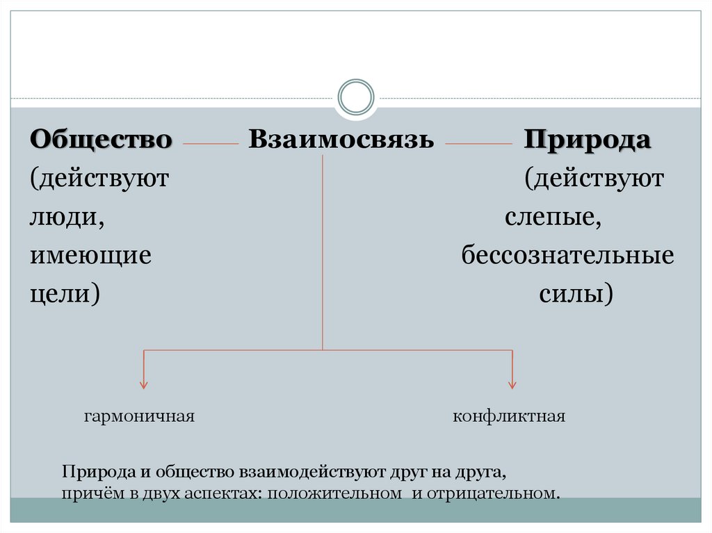 Взаимосвязь общества и природы