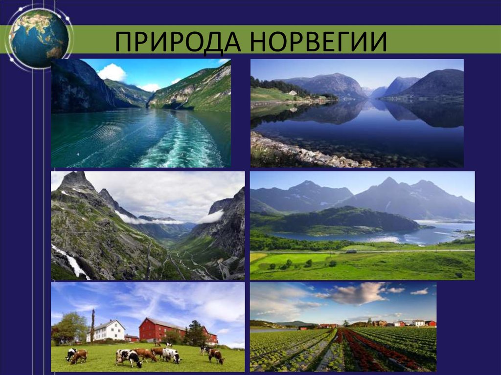 Норвегия 3. Норвегия для презентации природа. Климат Норвегии кратко. Природа Норвегии кратко. Норвегия природа кратко 7 класс.