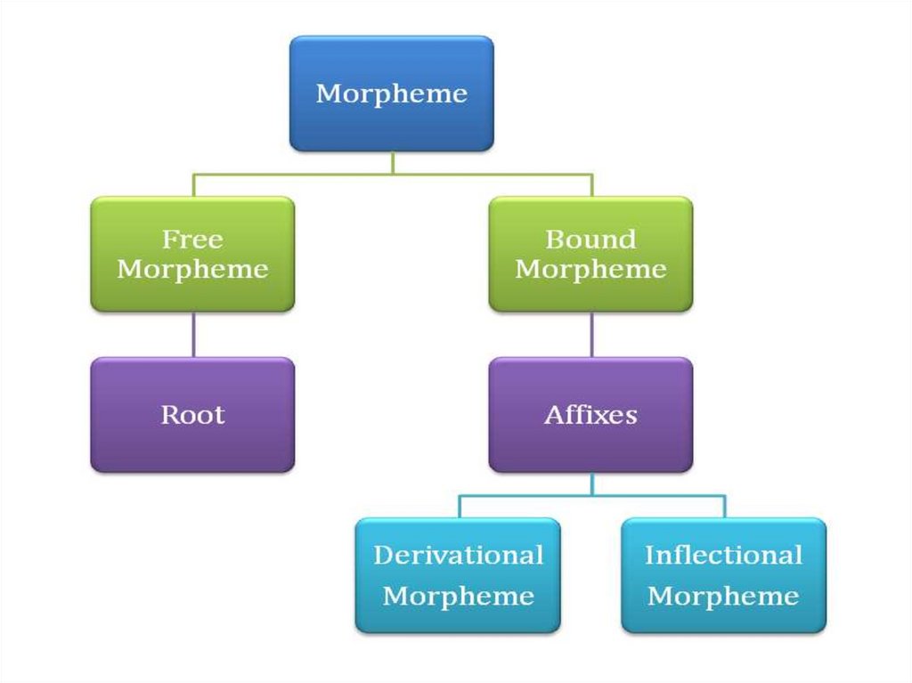 What Is Structure Of English All About