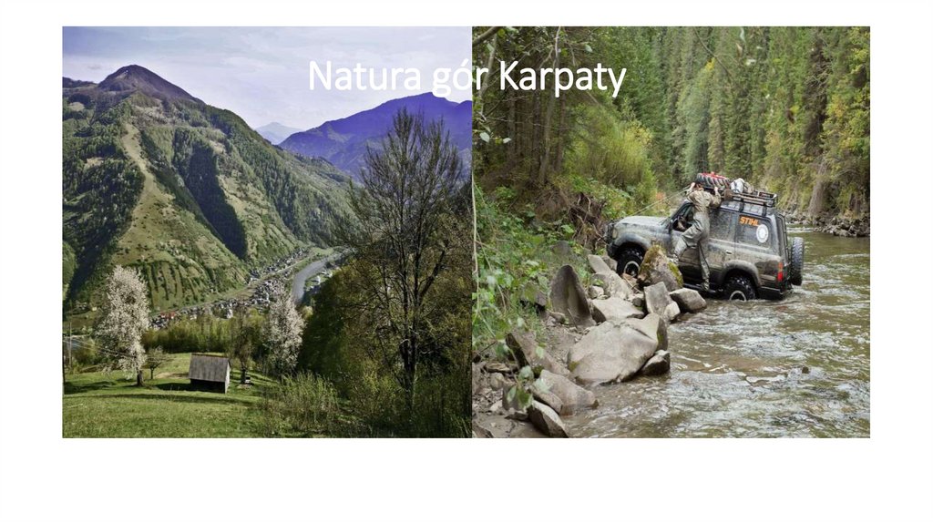 Natura gór Karpaty