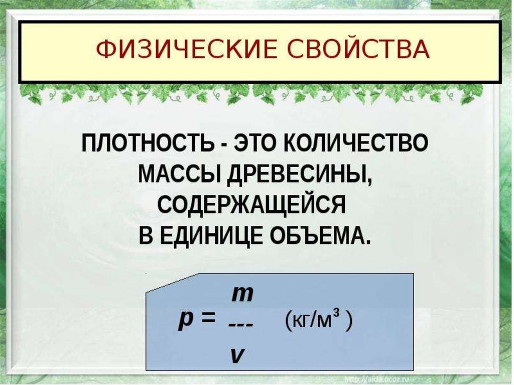 Физика древесины. Физические свойства древесины плотность. Количество массы древесины, содержащейся в единице объема.. Физическая плотность дерева.