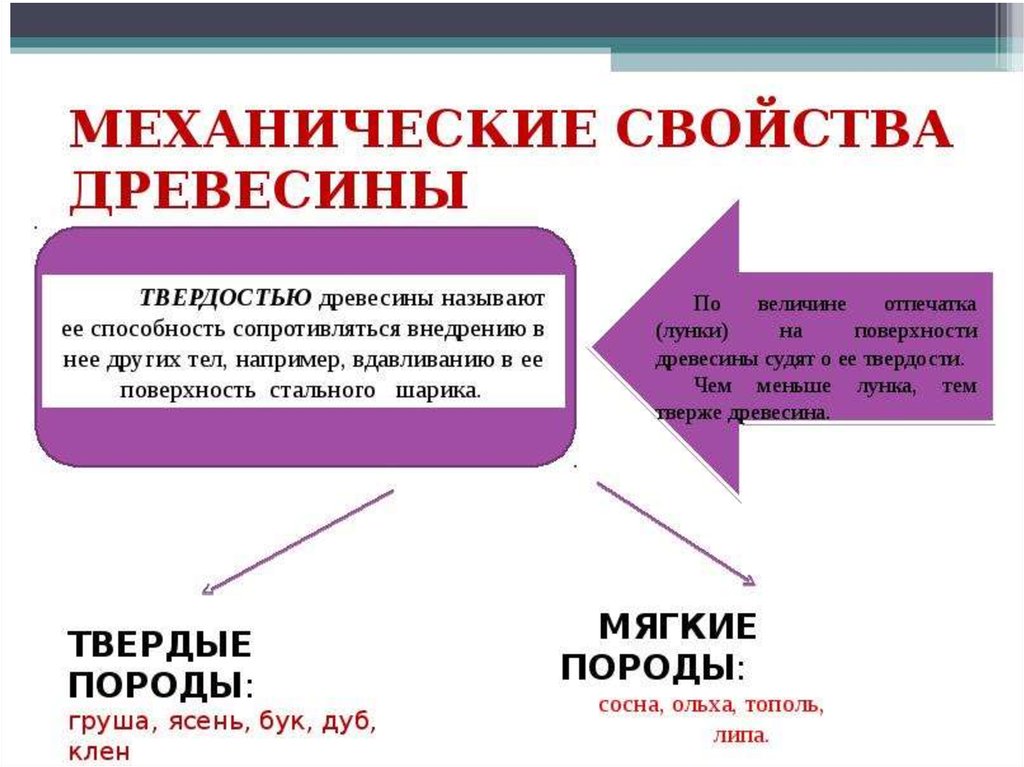 Свойства древесины. Механические и технологические свойства древесины. Основные физические свойства древесины. Механические свойства древесины 7 класс технология.