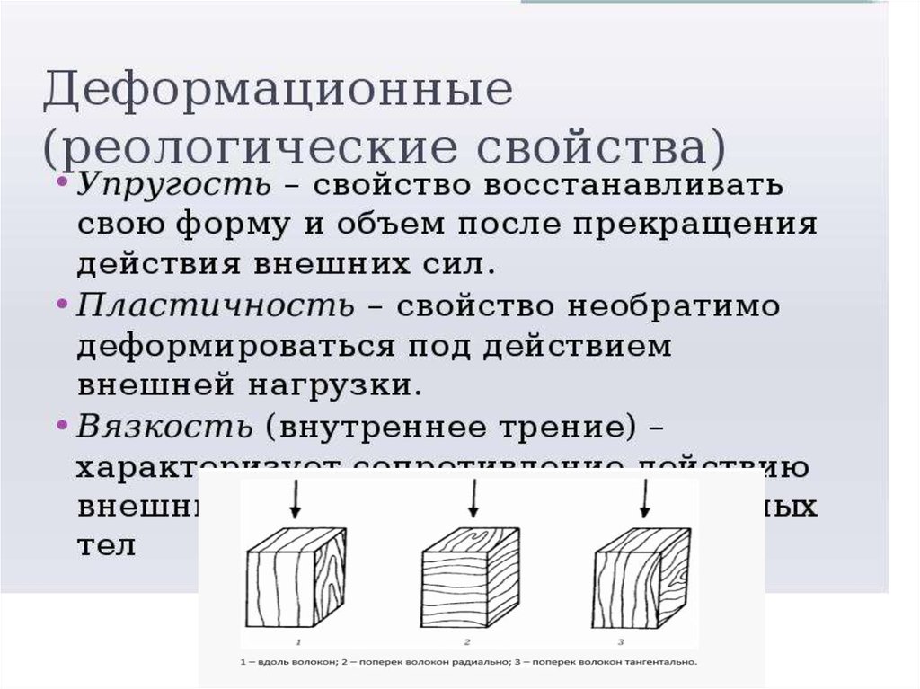 Физика древесины. Дерево физика. Древесина в физике это. Физика древесины задачи.