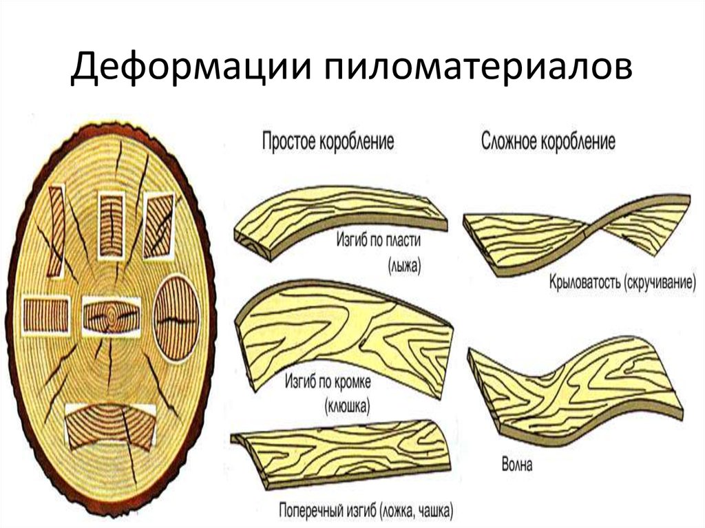 Форма древесина. Продольное коробление древесины. Поперечное коробление древесины. Пороки древесины покоробленности. Поперечно винтовое коробление древесины.