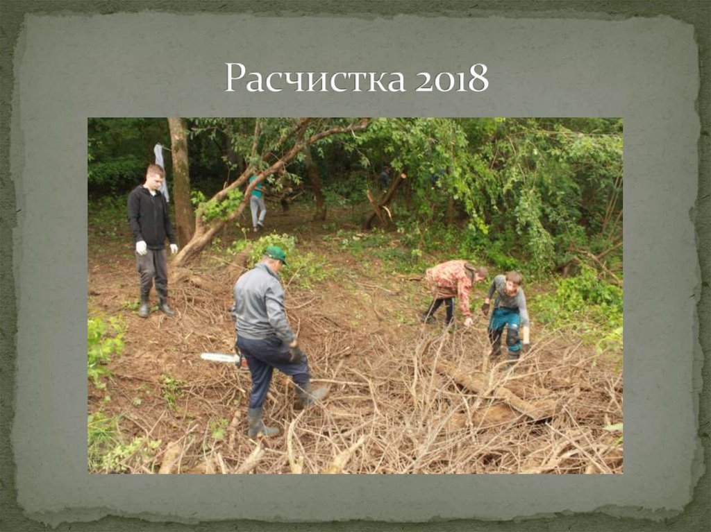 Расчистка 2018