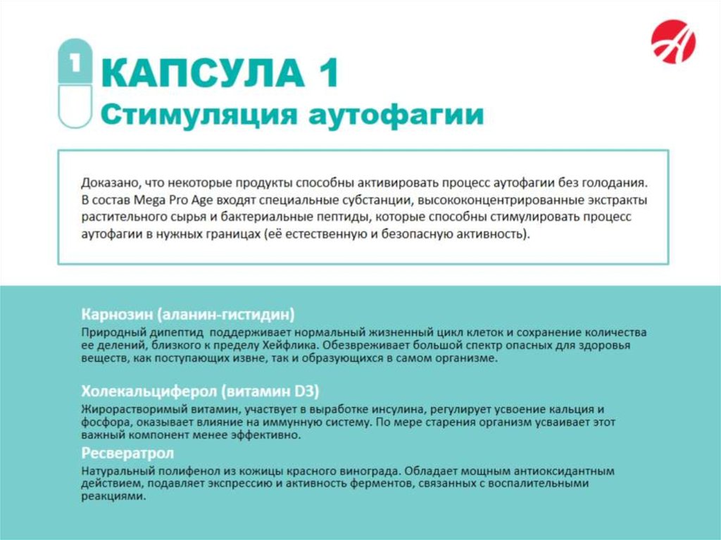 Доказано, что некоторые продукты способны активировать процесс аутофагии без голодания. В состав Mega Pro Age входят