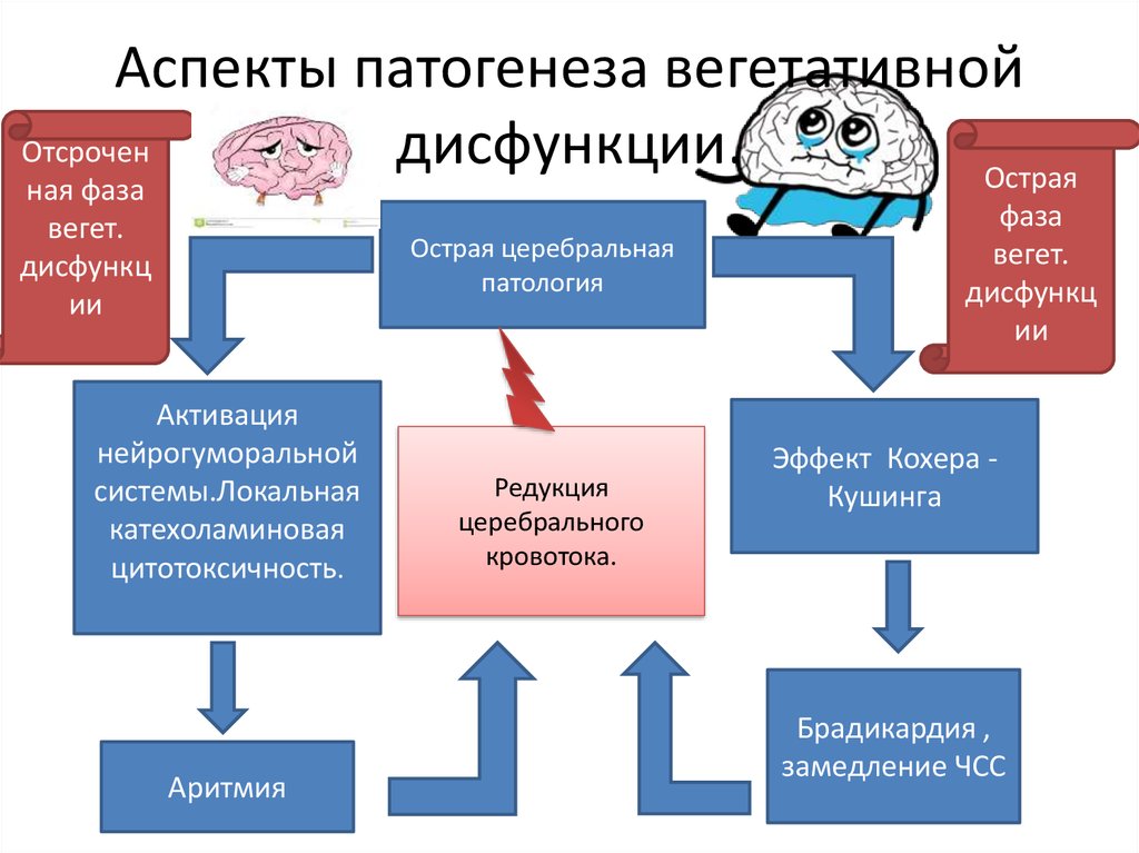 Дистония патогенез. Вегетативная дисфункция этиология патогенез. ВСД этиология и патогенез. Патогенез вегето сосудистой дистонии у детей. Синдром вегетативной дисфункции у детей патогенез.