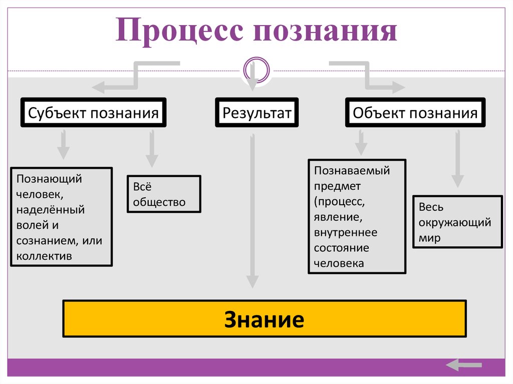 Познать предмет. Процесс познания. Элементы познания.