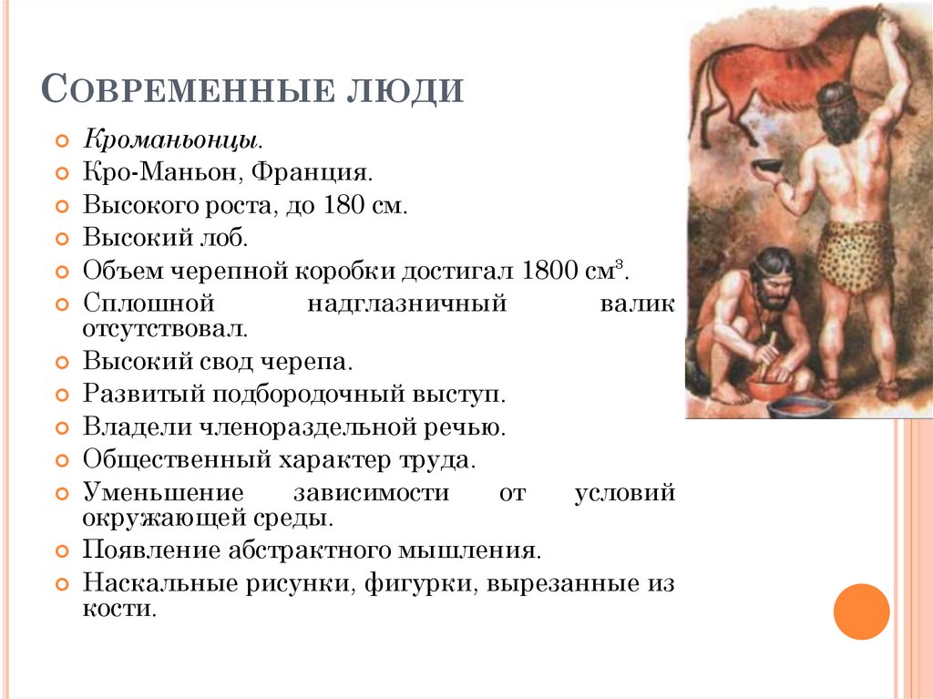 План рассказа о родственных связях между животными укажите место человека в живой природе