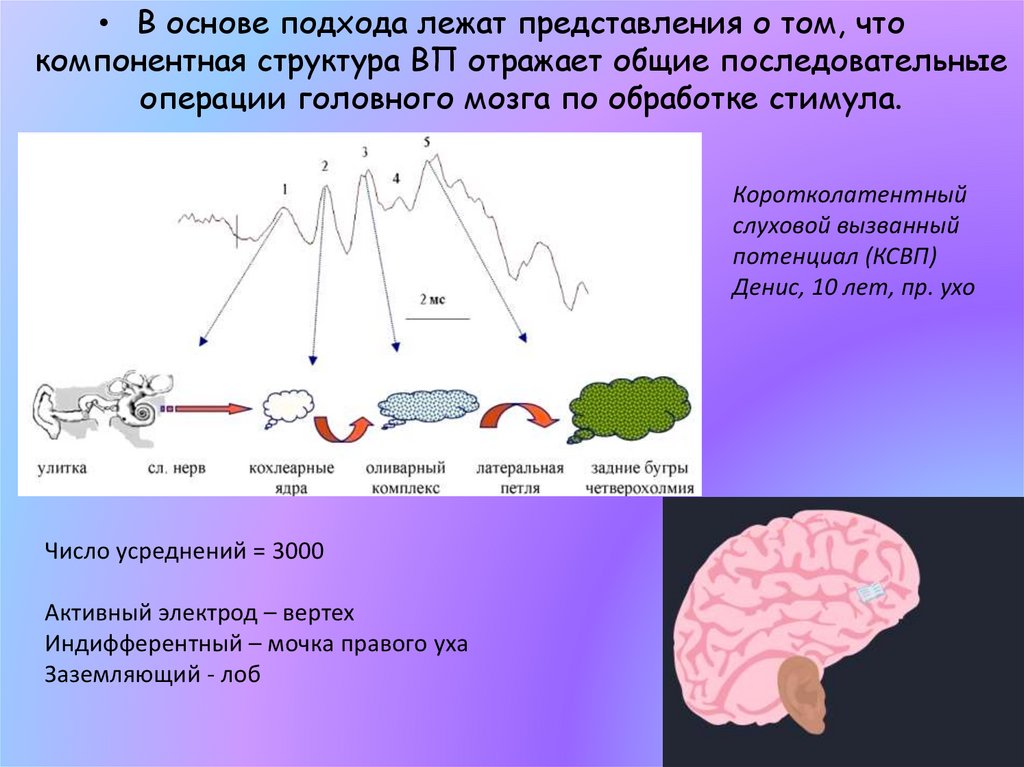 Лежать представление. Коротколатентные слуховые вызванные потенциалы. Коротколатентные вызванные потенциалы. Структура вызванных потенциалов.