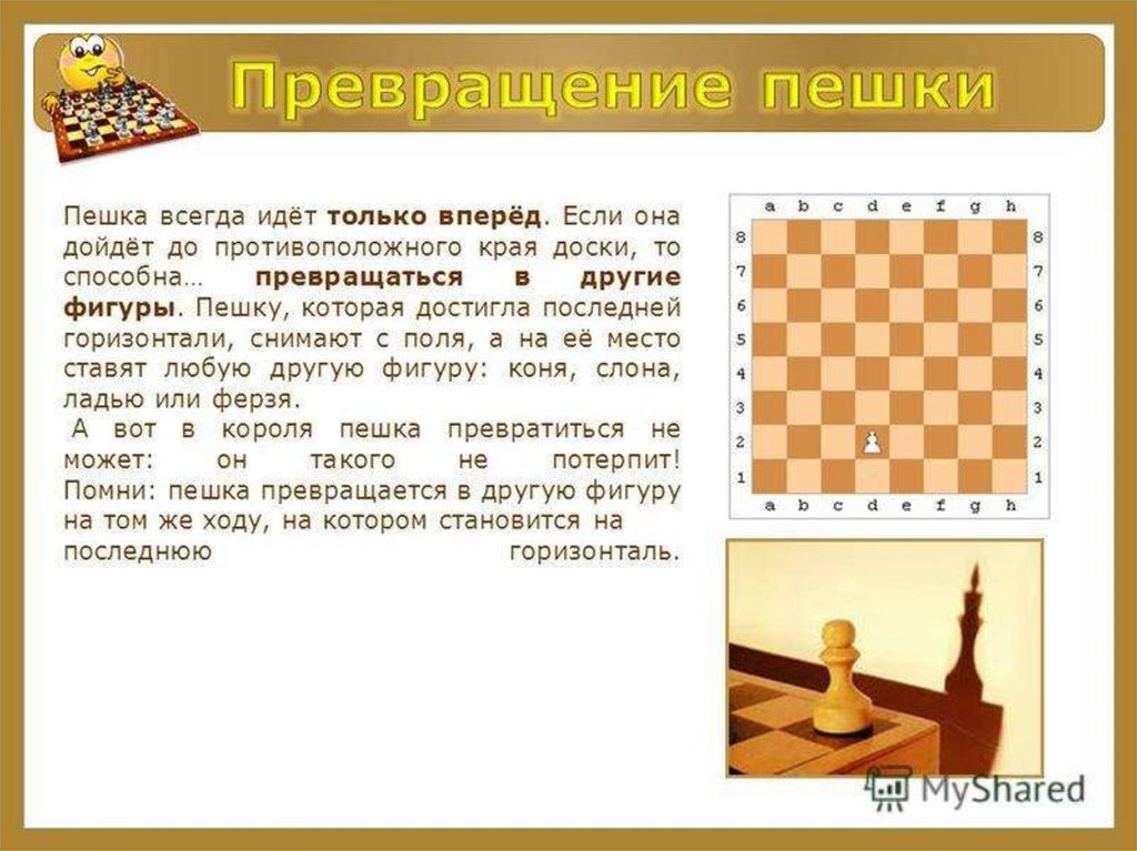 Нод Знакомство С Шахматной Доской