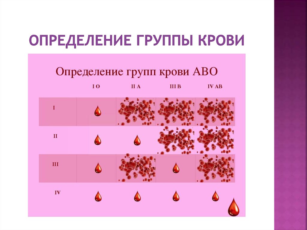 Свертывание крови группы крови