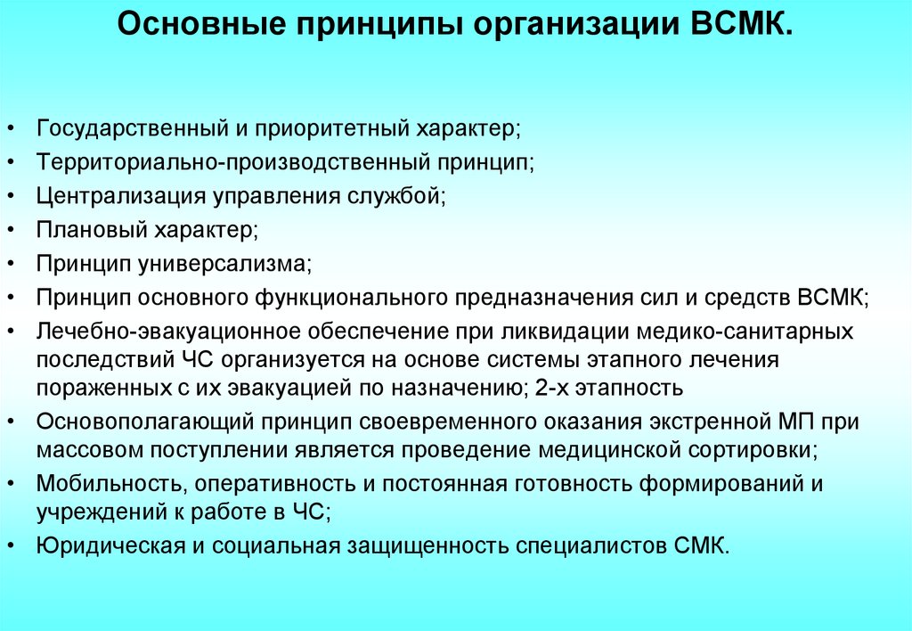 Основные принципы организации ВСМК.