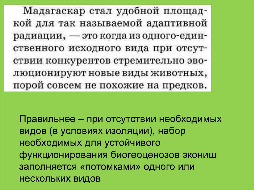 Экологическая ниша кактуса. Орхидея экологическая ниша.