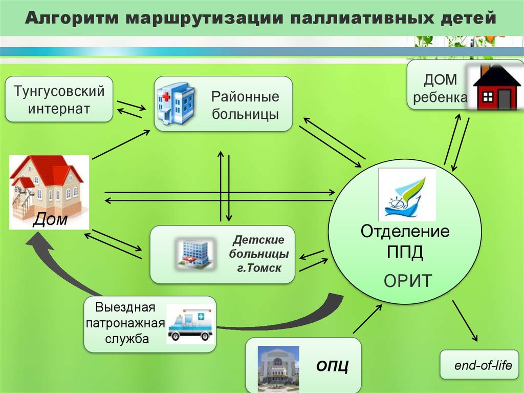 Схема паллиативная помощь