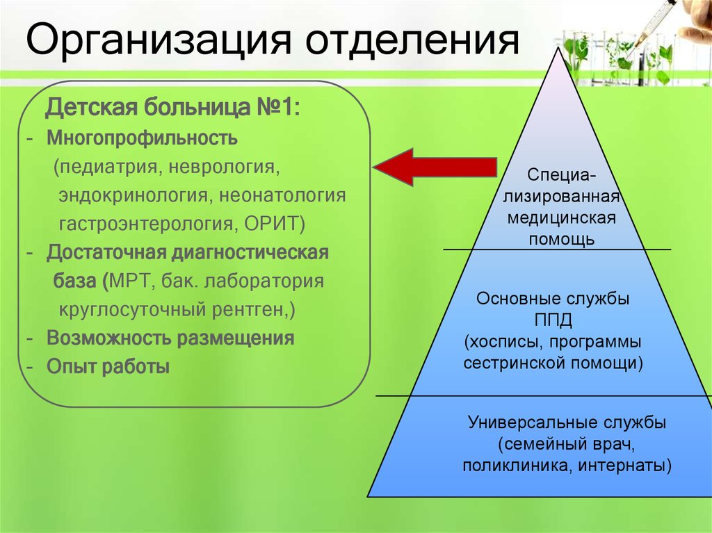 Отделения организации