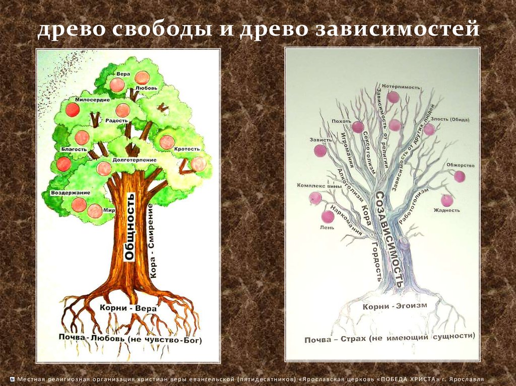 Схема личности в виде древа личности