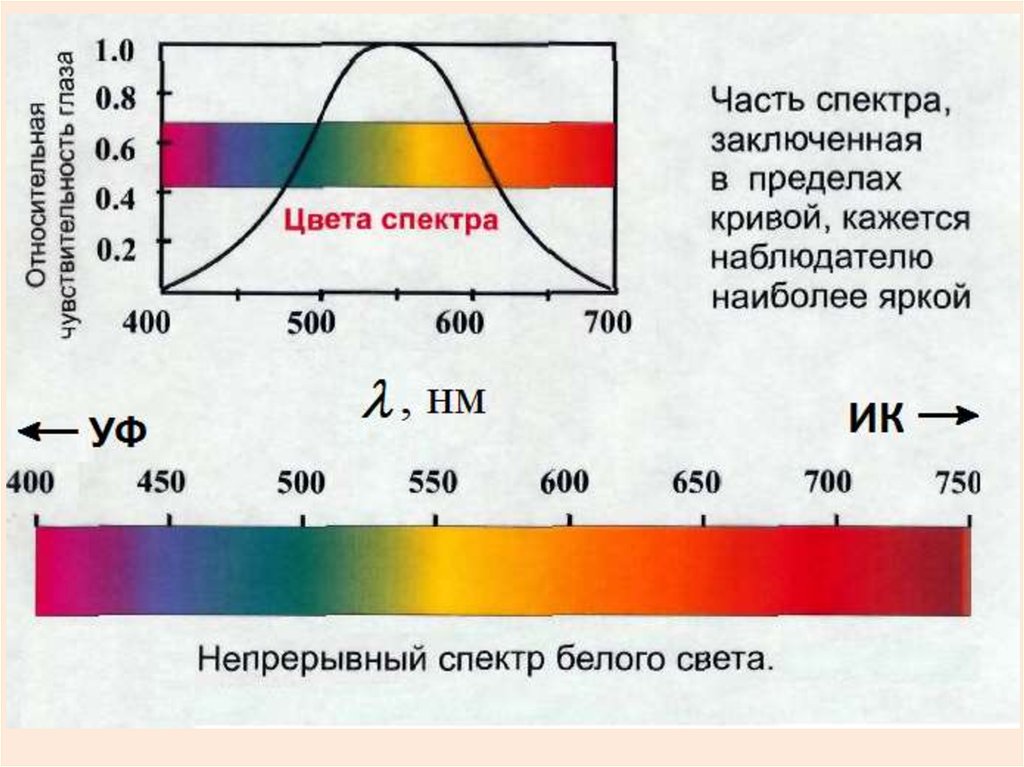 Непрерывный спектр белого света является. Свет спектр. Спектр белого света. Цвета спектра белого света. Части спектра.