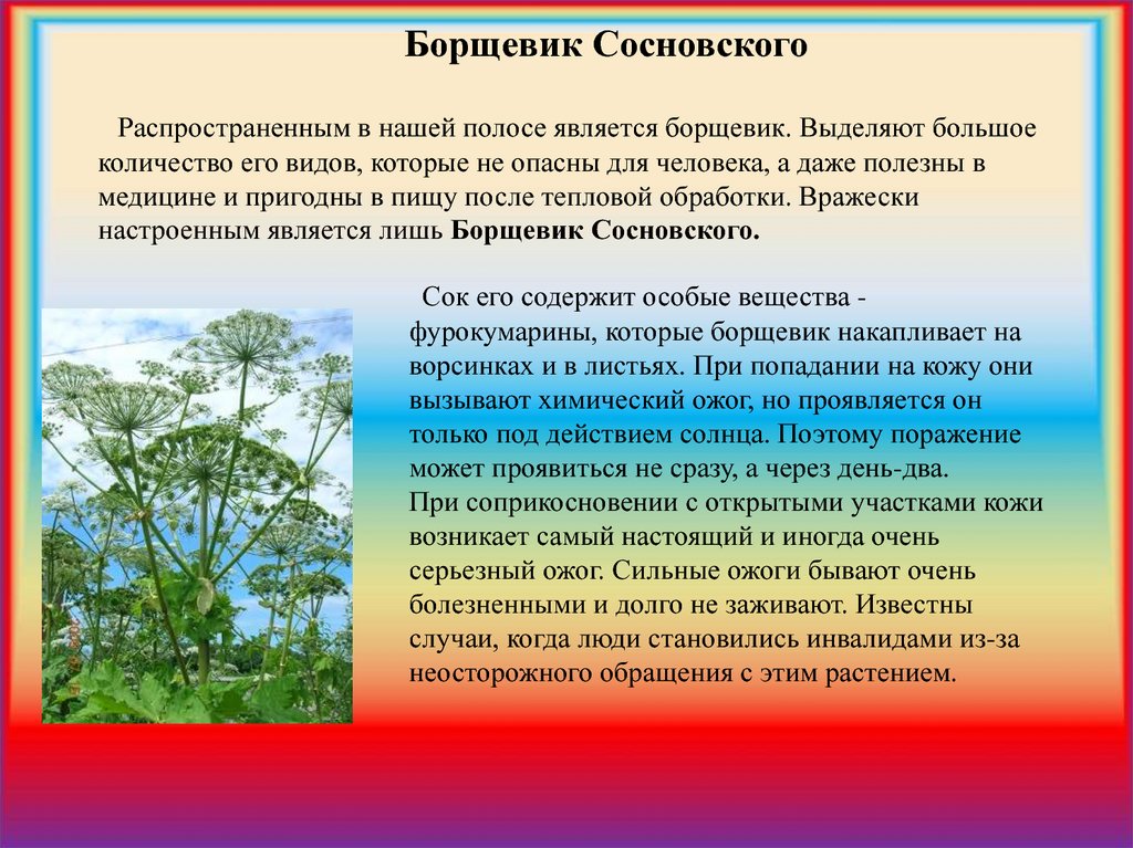 Жалоба на борщевик в администрацию образец