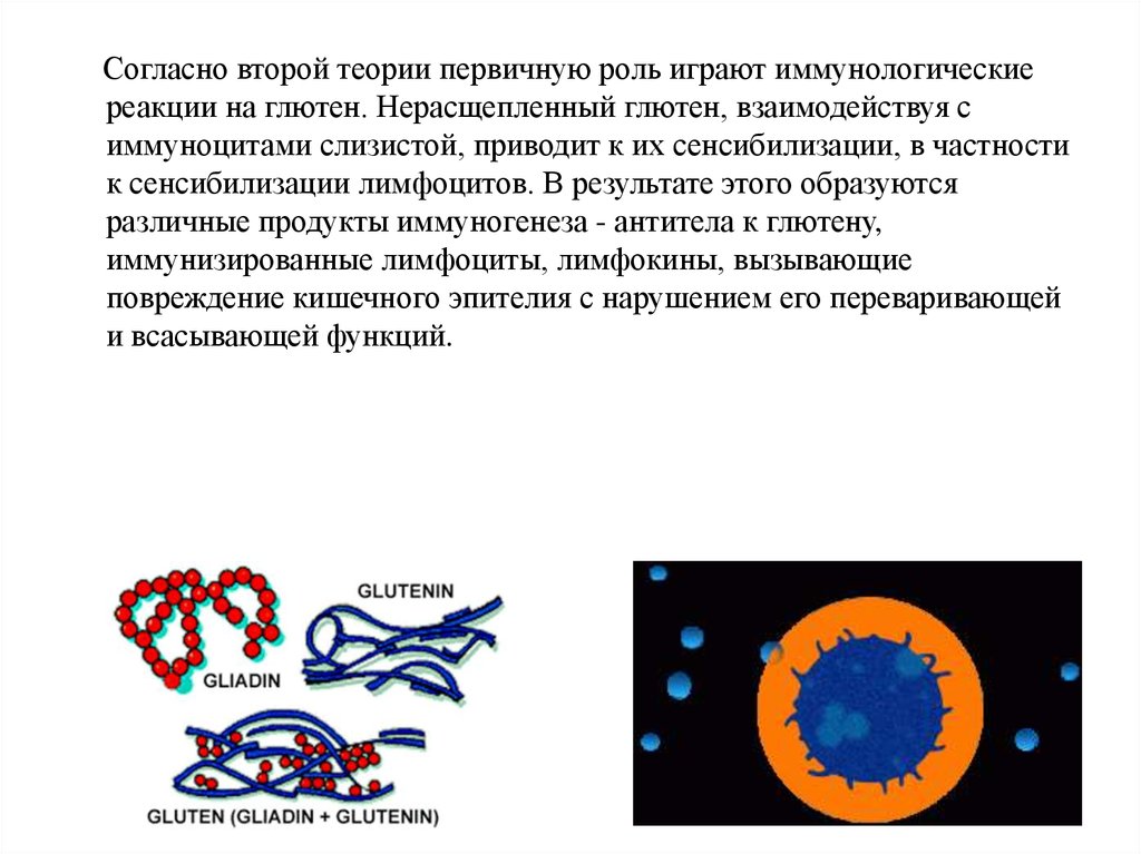 Нарушение моторной функции преджелудков